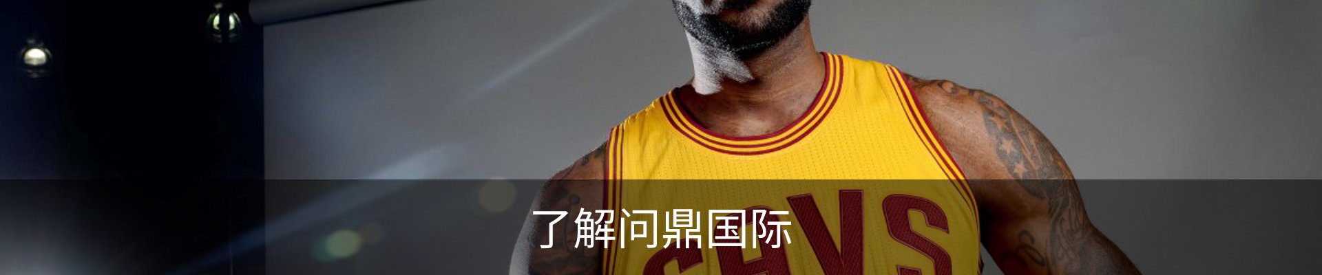了解问鼎国际