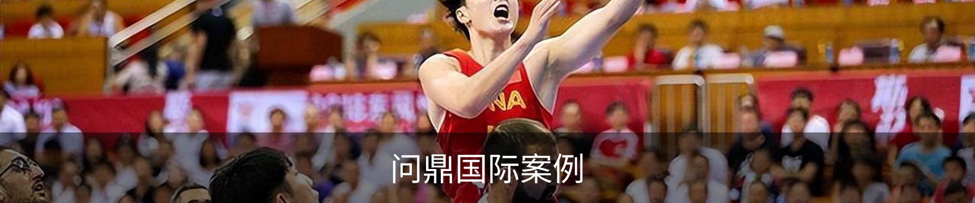 问鼎国际案例